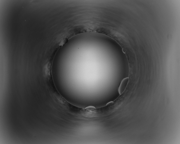 X0000088580768200705251138