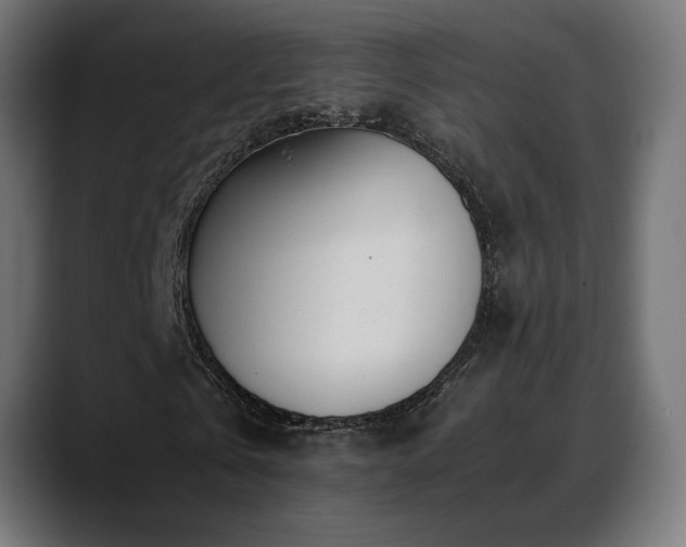 X0000088580769200705251137