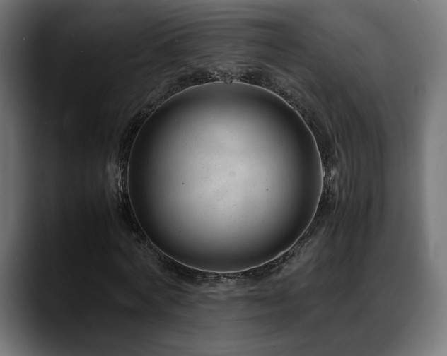 X0000088580772200705251137