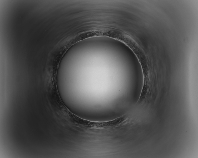 X0000088580773200705251137