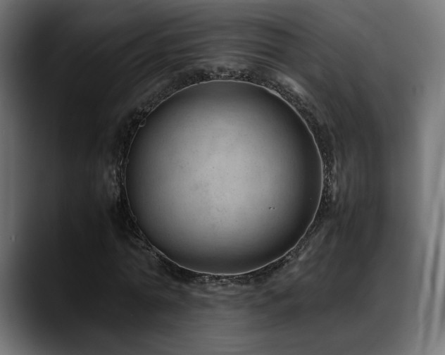 X0000088580774200705251137
