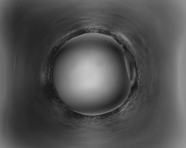 X0000088580775200705251137