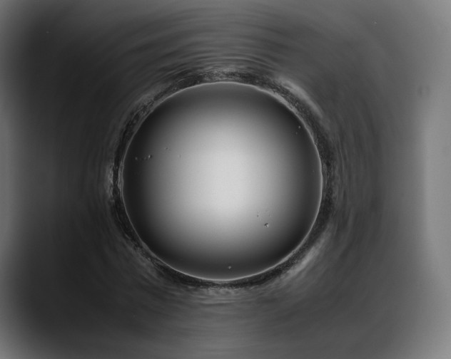 X0000088580777200705251137