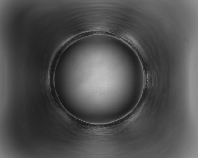 X0000088580780200705251137