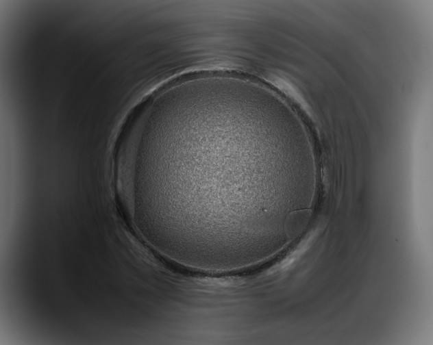 X0000088580781200705251137
