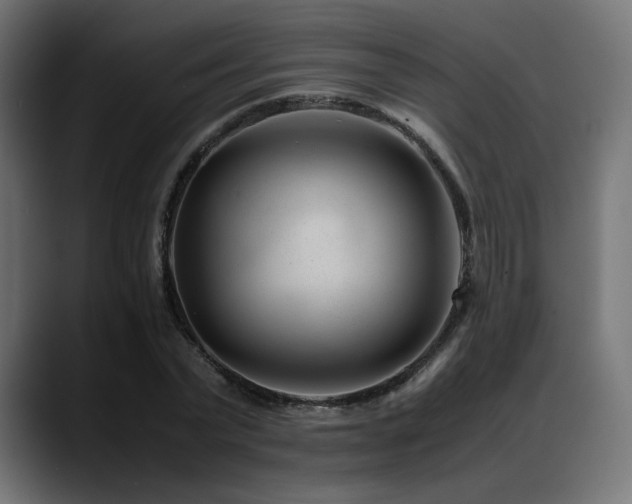 X0000088580783200705251137