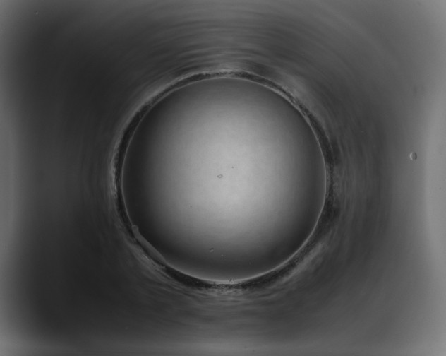 X0000088580789200705251137