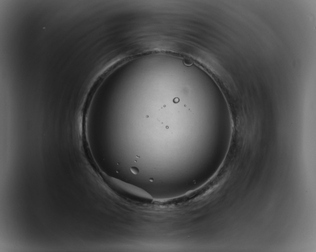 X0000088580790200705251137