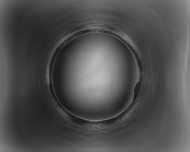 X0000088580791200705251137