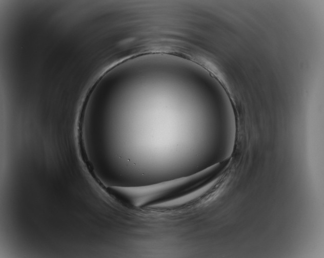 X0000088580803200705251137