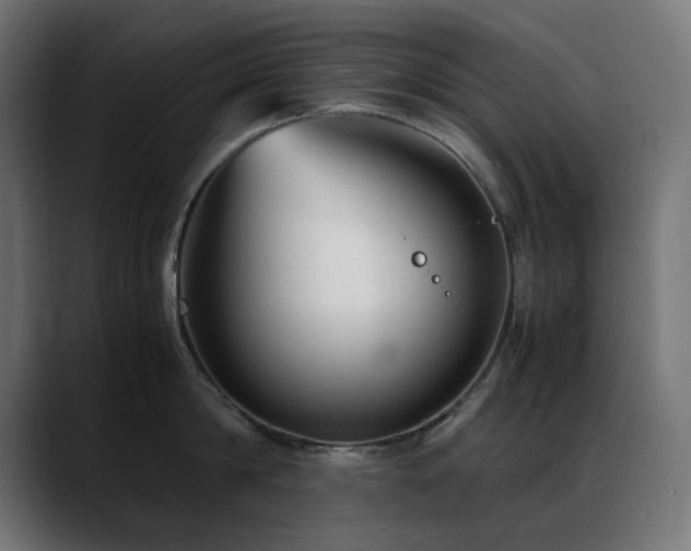 X0000088580814200705251136