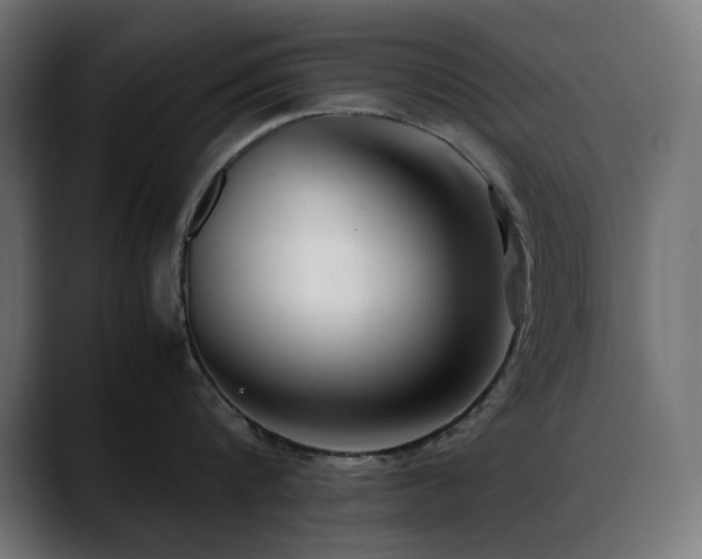 X0000088580816200705251136