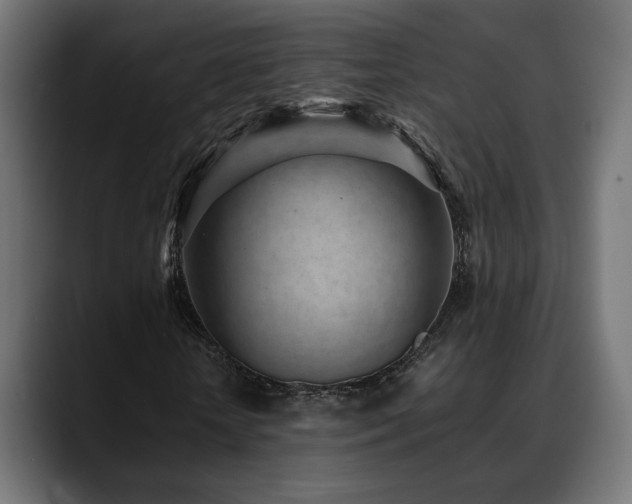 X0000088580818200705251136