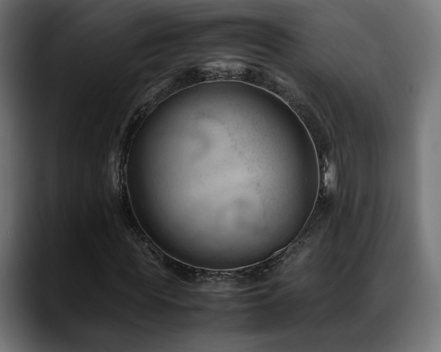 X0000088580819200705251136