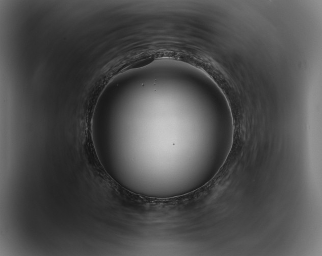 X0000088580821200705251136