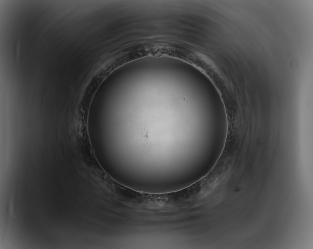 X0000088580823200705251136