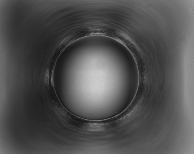 X0000088580825200705251136