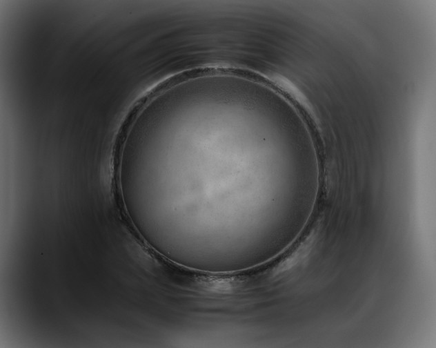 X0000088580831200705251136