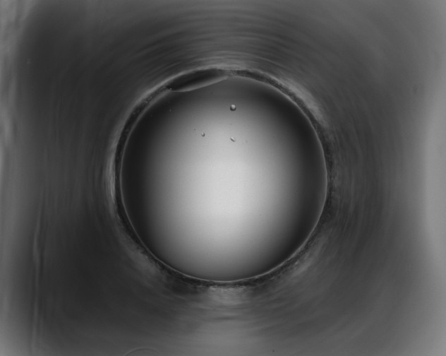 X0000088580840200705251136