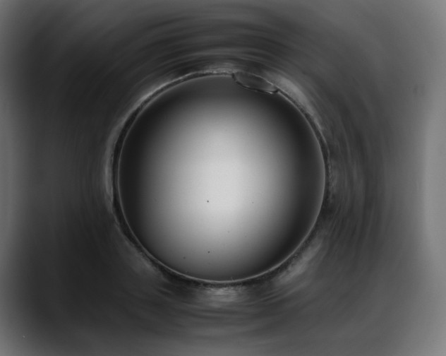 X0000088580843200705251136