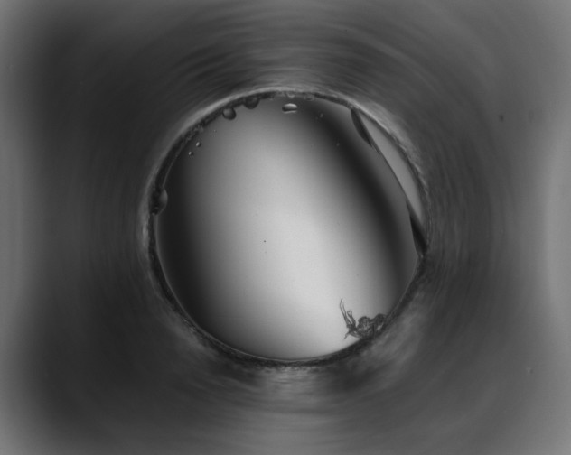 X0000088580846200705251136