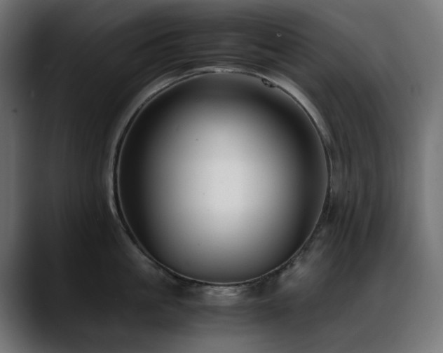 X0000088580861200705251136