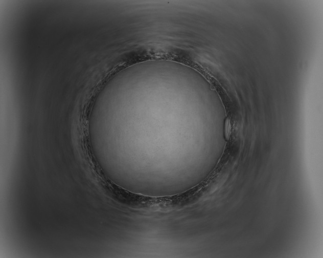 X0000088580865200705251136