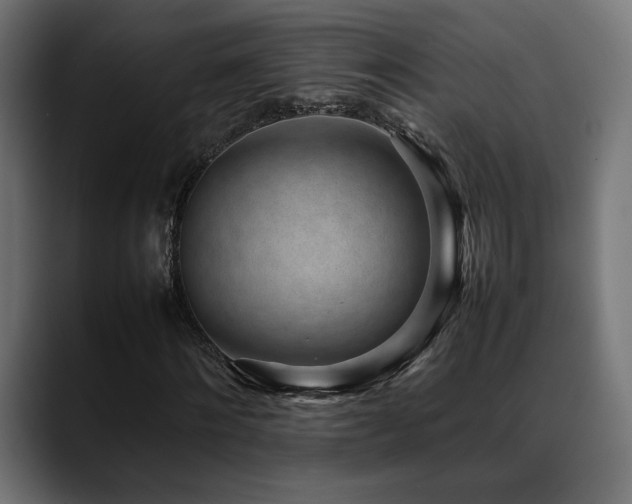 X0000088580868200705251136
