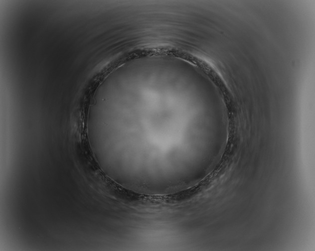 X0000088580871200705251136