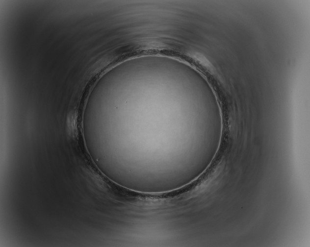 X0000088580873200705251136