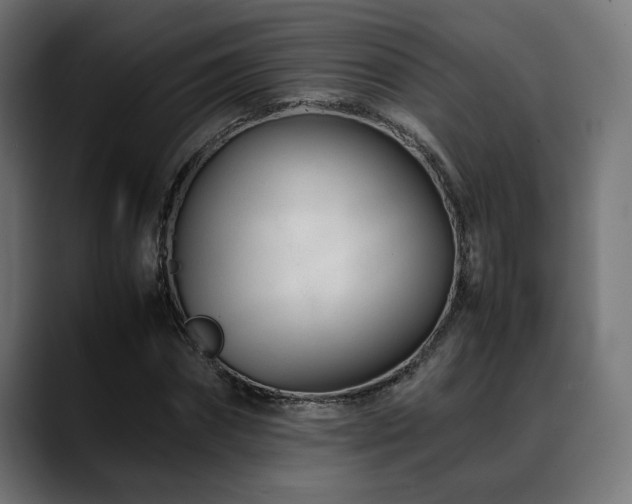 X0000088580874200705251136