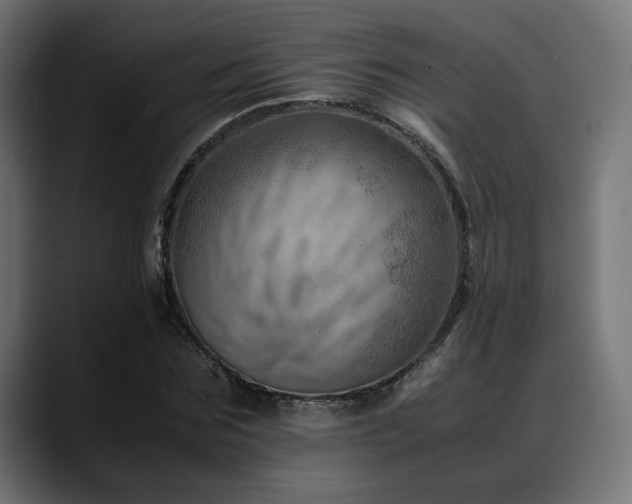 X0000088580875200705251136