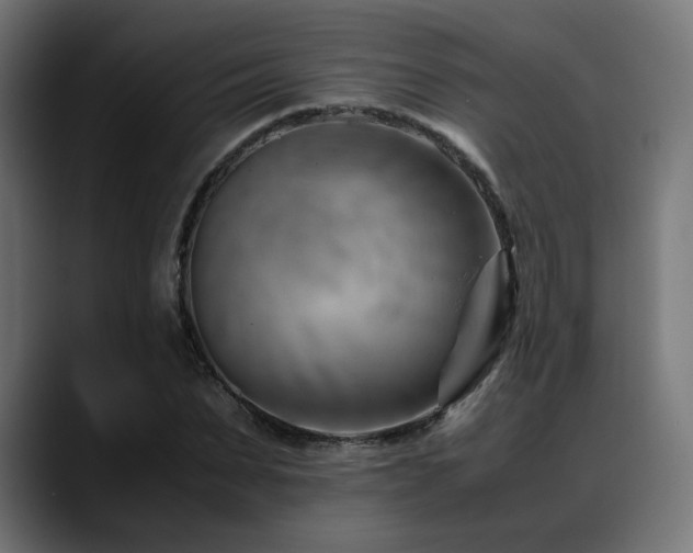 X0000088580879200705251136