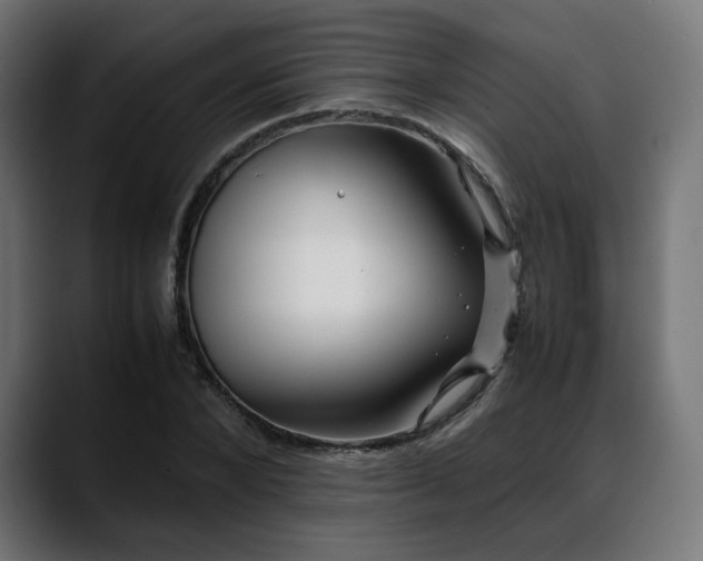 X0000088580880200705251136