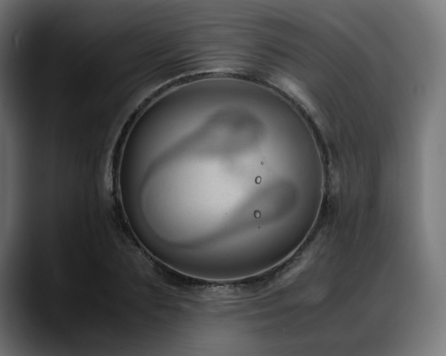 X0000088580883200705251136