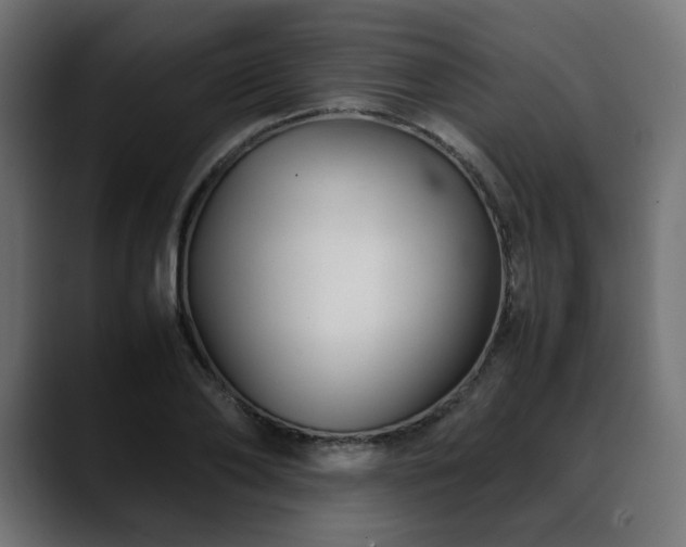 X0000088580886200705251136