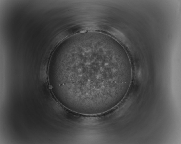 X0000088580889200705251135