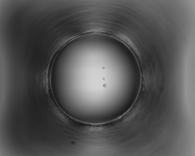 X0000088580890200705251135