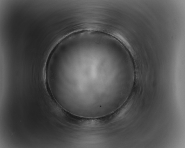 X0000088580891200705251135