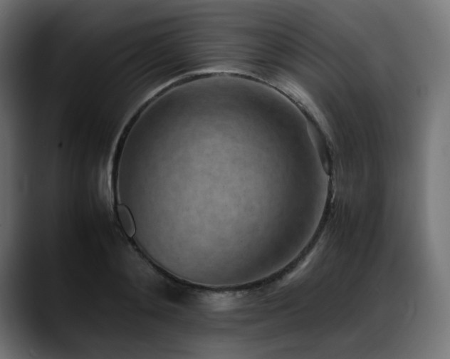X0000088580892200705251135