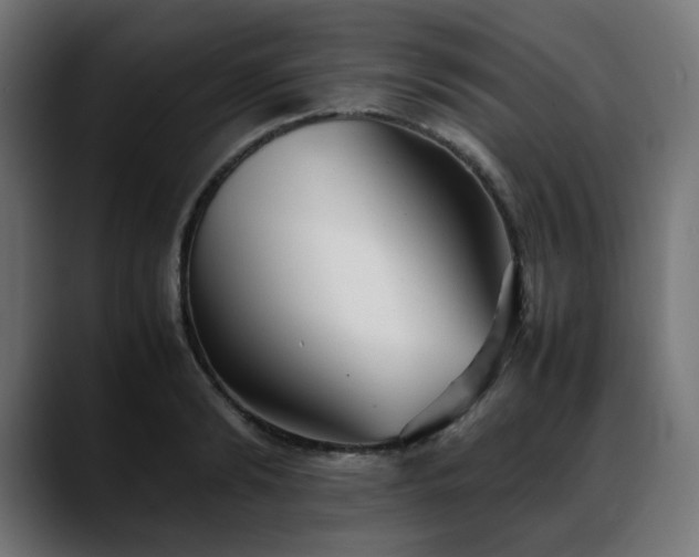 X0000088580894200705251135
