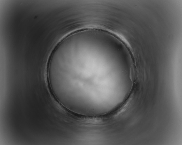X0000088580895200705251135