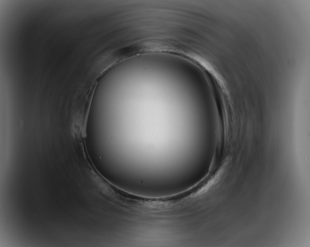 X0000088580897200705251135