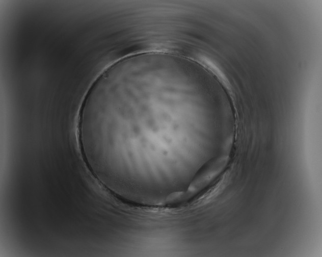 X0000088580899200705251135