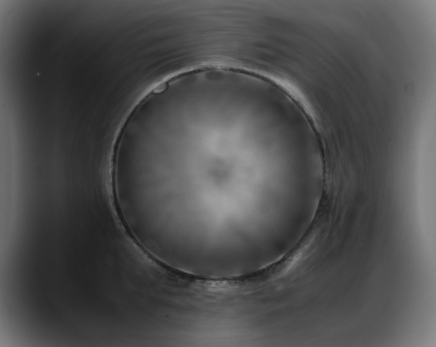 X0000088580903200705251135