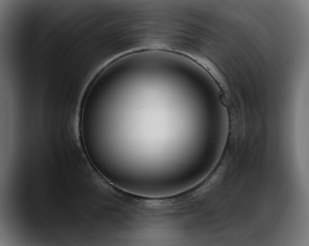 X0000088580904200705251135