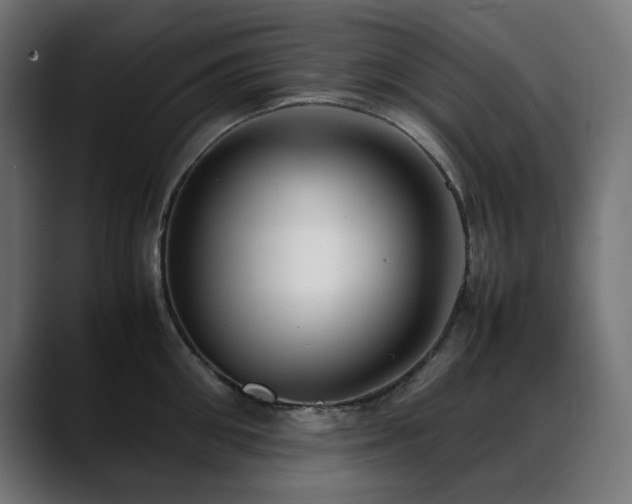 X0000088580906200705251135