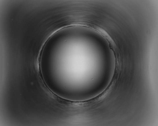 X0000088580908200705251135