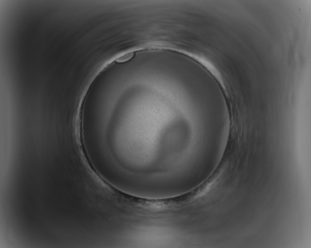 X0000088580911200705251135