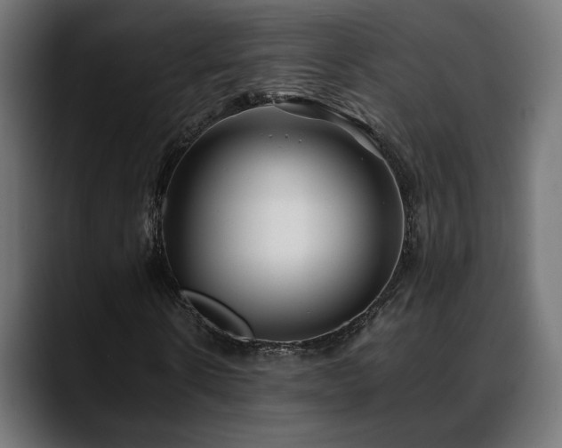X0000088580914200705251135